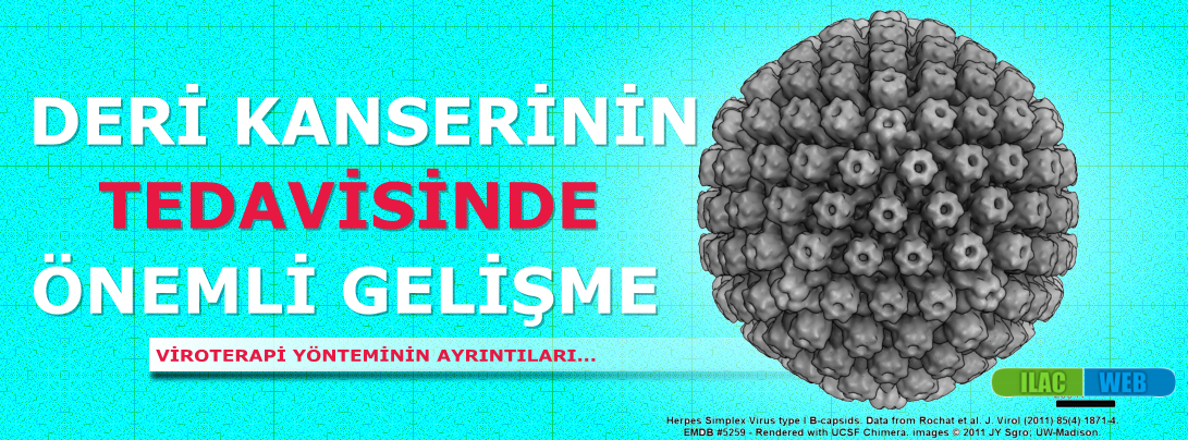 viroterapi deri kanseri